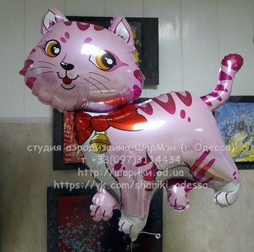 Шарик Котик