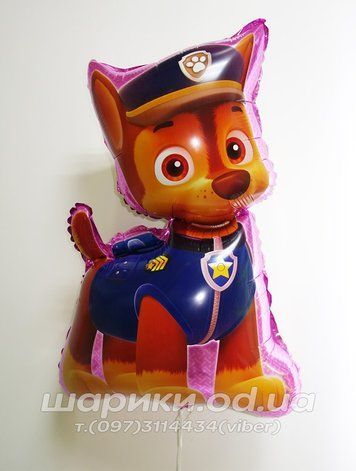 Шарик Гонщик Чейз