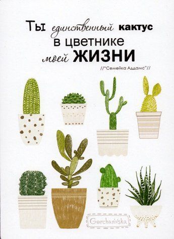 Листівка "Кактус"