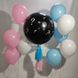 Велика кулька для визначення статі гелій